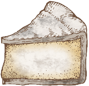 カマンベール 1week