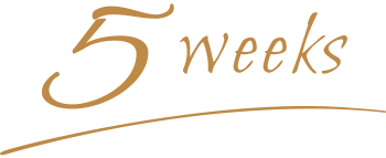 5week