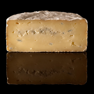 おいこみブルー